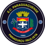 Miniatura para Esporte Clube Paraguaçuense