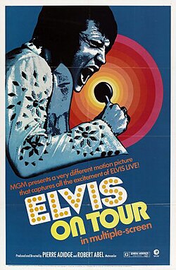 Elvis On Tour: Sinopse, Músicos, Canções