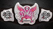 Miniatura para WWE Divas Championship