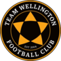 Miniatura para Team Wellington Football Club