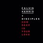 Miniatura para How Deep Is Your Love (canção de Calvin Harris e Disciples)