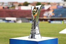Campeonato Brasileiro De Futebol Sub-23: História, Transmissão televisiva, Formato