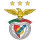 Temporada do Sport Lisboa e Benfica de 2012–13