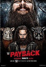 Miniatura para Payback (2016)