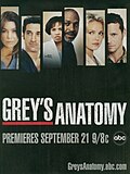 Miniatura para Grey's Anatomy (3.ª temporada)