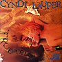 Miniatura para True Colors (álbum de Cyndi Lauper)