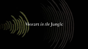 Miniatura para Mozart in the Jungle