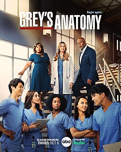 COMO ASSISTIR GREY'S ANATOMY DUBLADO TEMPORADAS (7 Dias TESTE) en 2023