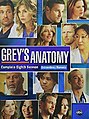 Grey's Anatomy temporada 8.jpg