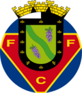 FC Felgueiras.png