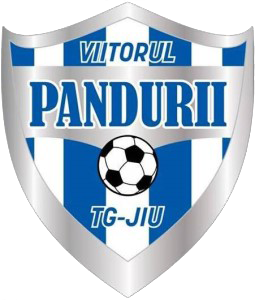 Fișier:Viitorul Pandurii Logo.png