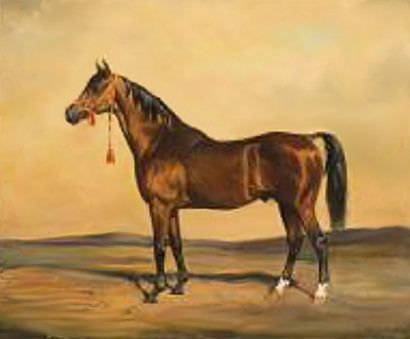 Fișier:Kuhlbrandt Ernst portretul calului Halef.jpg