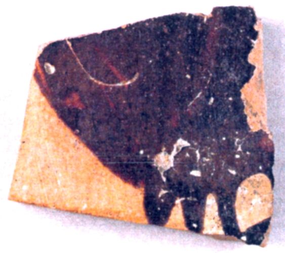 Fișier:Fragment pictat (Arheologie) 2148 08.04.2010 Fond CBC233F1C00F4A119E1CCA1B2557C83F.jpg