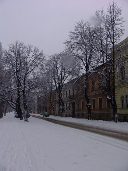 Fișier:Oradea parc.jpg