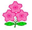 Fișier:Japan sakura rugby symbol.jpg