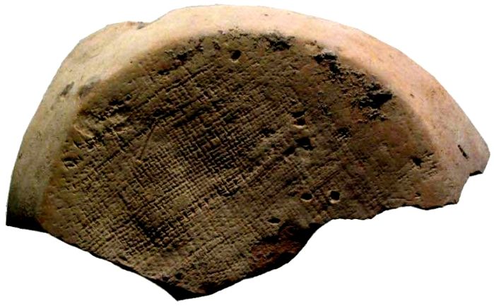 Fișier:Fragment ceramic (Arheologie) 2618 30.09.2011 Fond 63DD0DDEA28C4FC1AE5CF9582D73F948.jpg