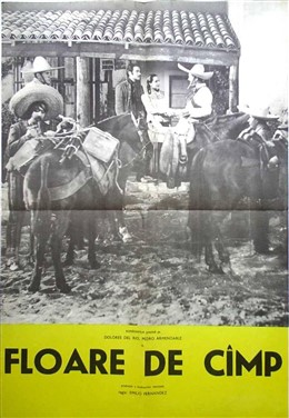 Fișier:1943-Floare de camp s.jpg