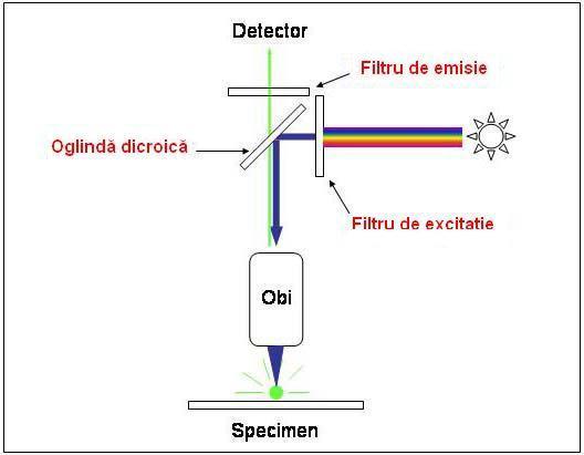 Fișier:Filters.jpg