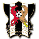 Fișier:NEWI Cefn Druids F.C.PNG