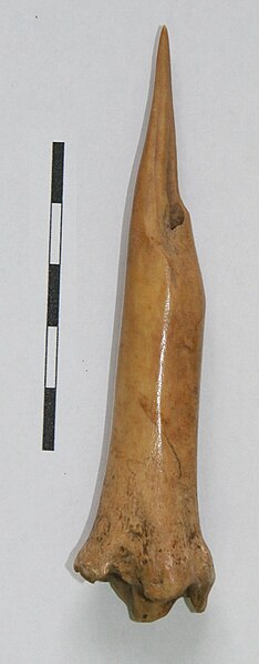 Fișier:Împungător (Arheologie) 2633 25.09.2017 Fond 7f6f7bc62f794622bd2bb615613ffb2d.jpg