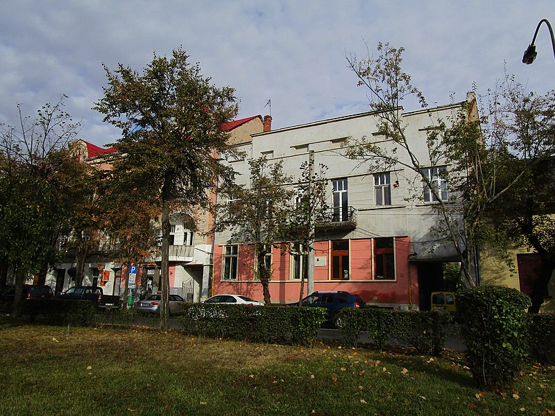 Fișier:Casa vasile lucaciu.jpg