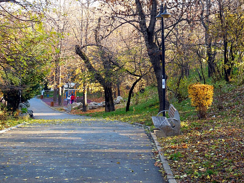 Fișier:Parcul Romniceanu - alee.JPG