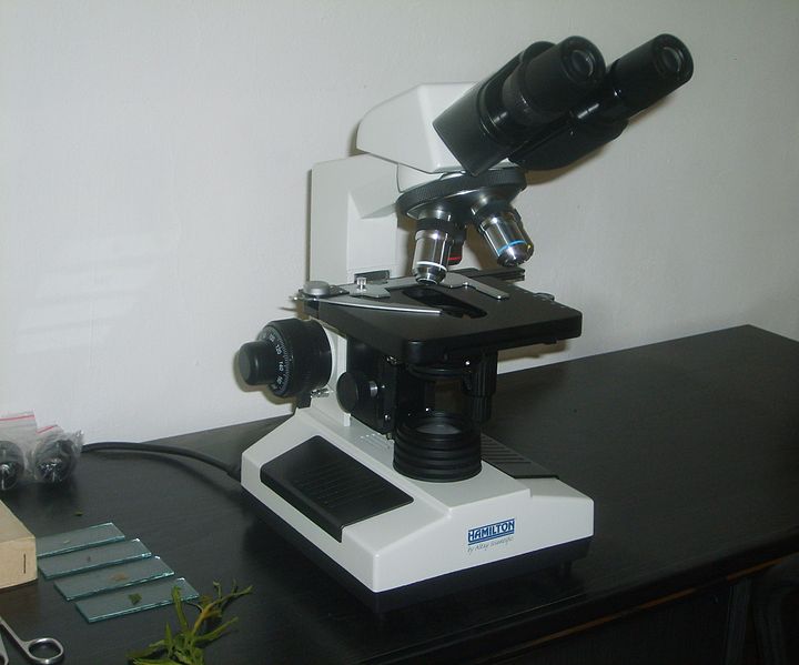 Fișier:Microscop 1.JPG