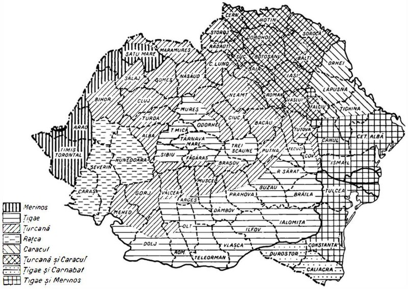 Fișier:Enciclopedia României 1938 vol 3 pg 547 2003.jpg