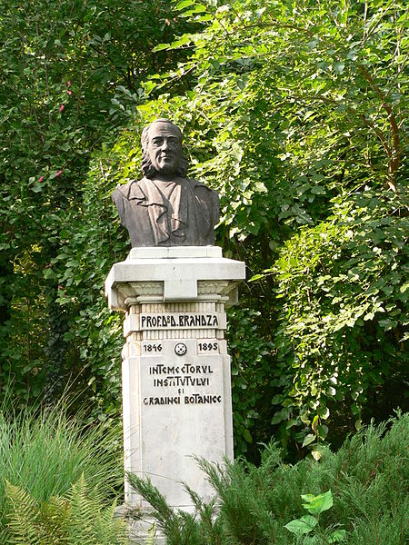 Fișier:Bustul de lângă Muzeul Botanic al dr. Dimitrie Brândză-1.JPG