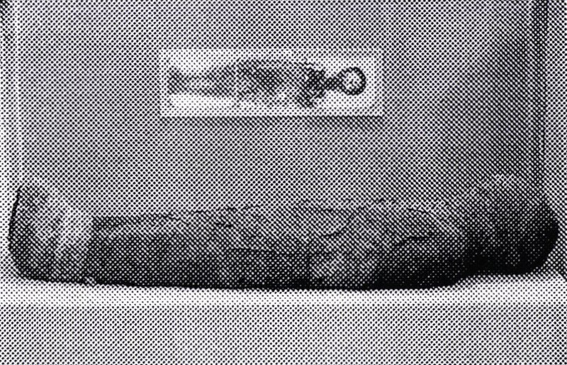 Fișier:Mumie egipteană (Etnografie) 2236 27.04.2004 Tezaur 0C09D0959C79467793993053ECF1C1F2.jpg