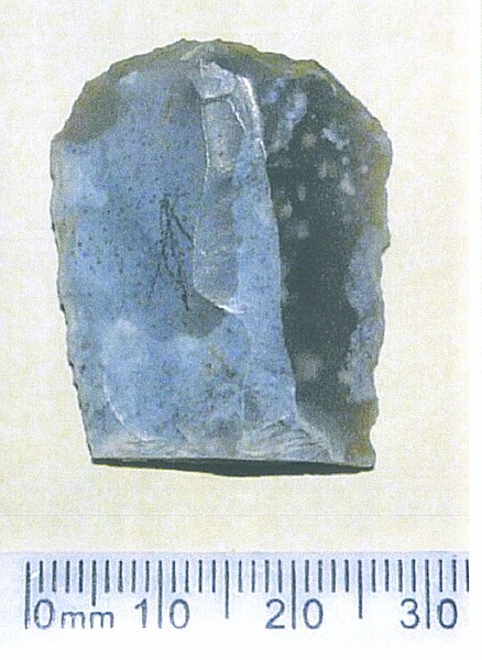 Fișier:Grattoir sur lame fragmentaire retouchée (Arheologie) 2834 13.12.2017 Fond FCD686CDED8B40ECAE64BC23E3639EF4.jpg