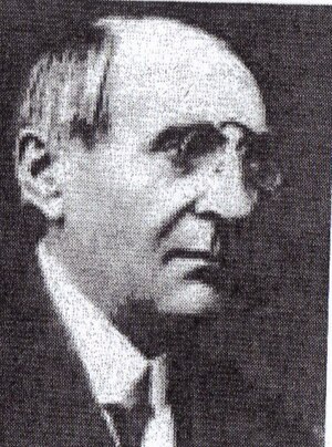 Alexandru Voevidca