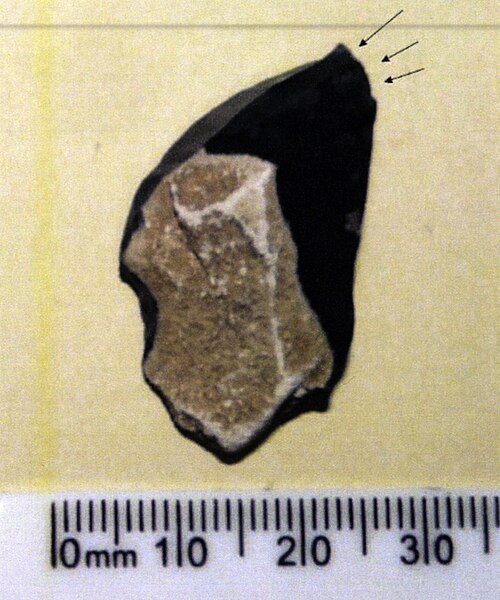 Fișier:Burin caréné microlithique (Arheologie) 2845 20.12.2017 Fond 1F05E902B47249F7AF04D162E3A48A52.jpg