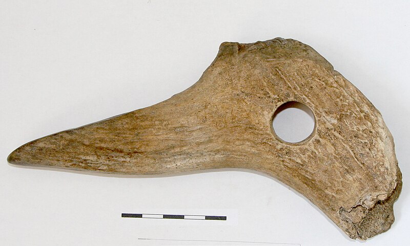 Fișier:Brazdar (Arheologie) 2856 02.04.2021 Fond 71e5b51b22934343af53b2394e7a168b.jpg