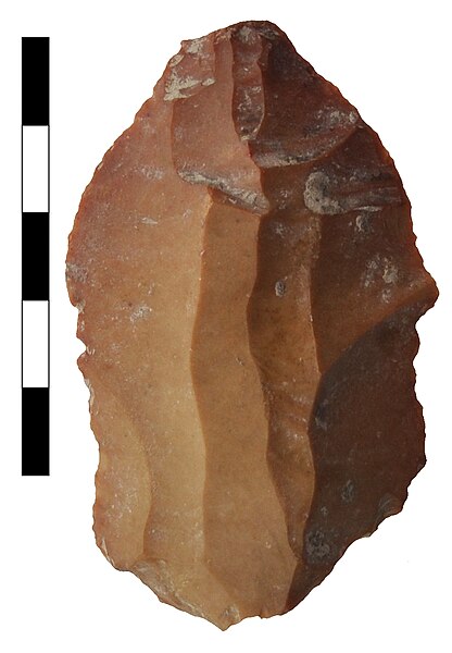 Fișier:Gratoar (Arheologie) 2876 04.09.2019 Fond 5119581E204B46BC8C5403BBF3583C7C.jpg