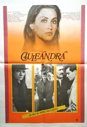 Film Din 1985 Ciuleandra: Rezumat, Distribuție, Producție