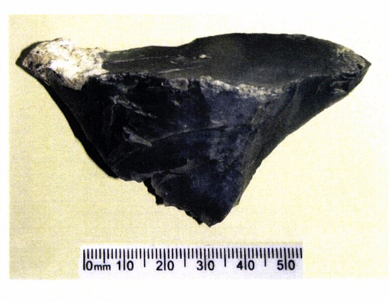 Fișier:Èclat cortical à crête (Arheologie) 2849 20.12.2017 Fond E608787C3EE940E895D2B4D0E9E89448.jpg