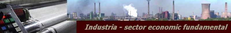 Fișier:Antet portal industrie 1.jpg