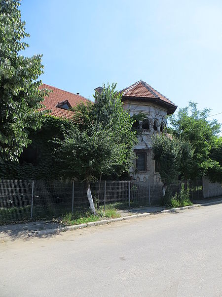 Fișier:Casa Opriș (1).JPG