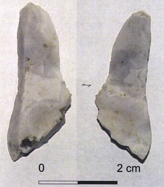 Fișier:Lame moyenne (Arheologie) 2659 23.08.2018 Fond D7A43AF790984BAD861C5B1A0F4955F8.jpg