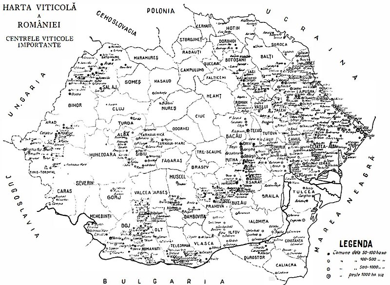 Fișier:Enciclopedia României 1938 vol 3 pg 459 1470.jpg