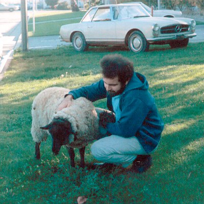 Файл:Widlar and Sheep - Jim Williams 02 - 400x400px.jpg