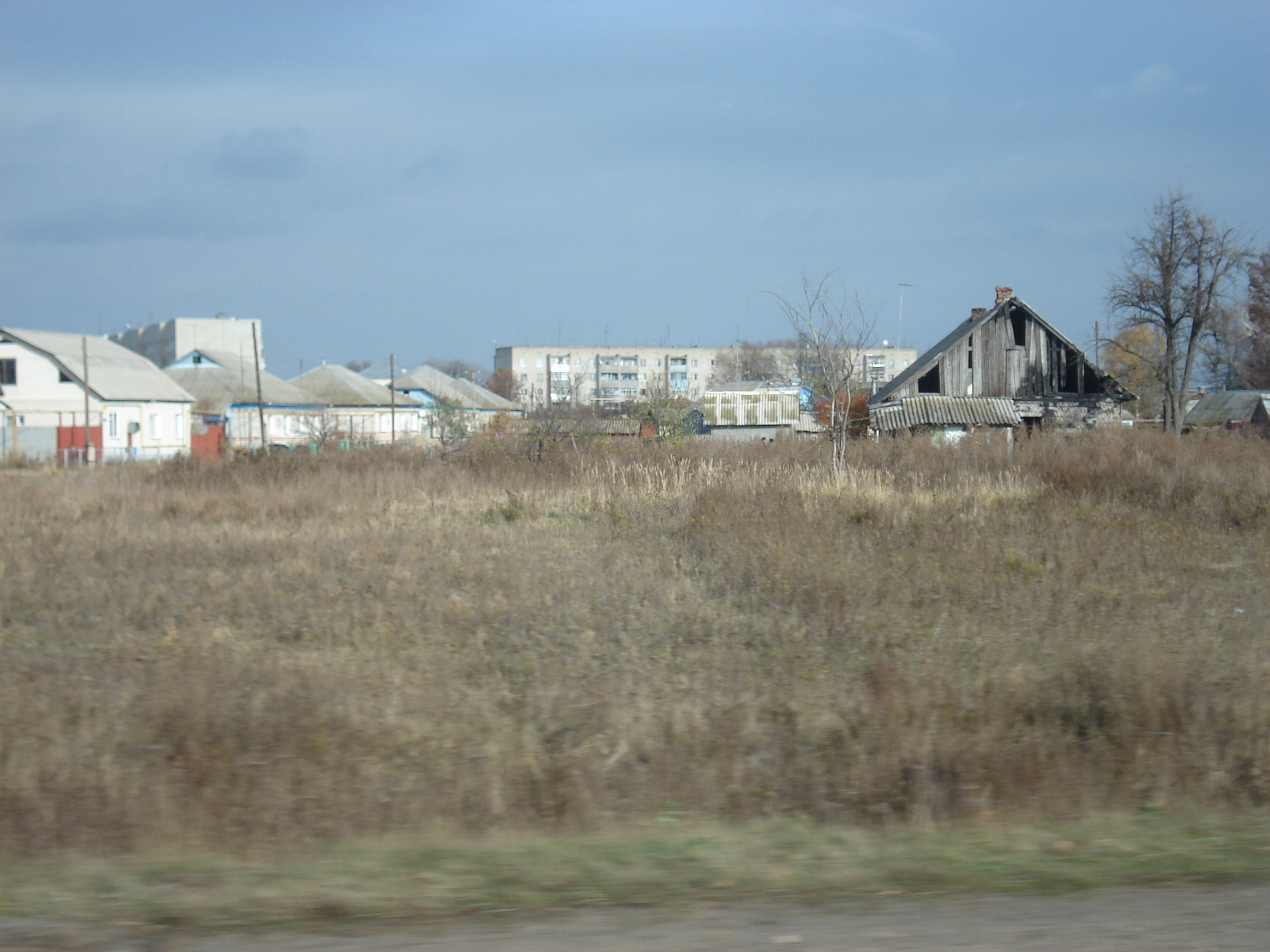 Пгт грибановский. Поселок Грибановский Воронежской области. Грибановский (посёлок городского типа). Воронежская область поселок Грибановка. Грибановка посёлок городского типа.