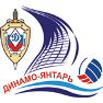 Файл:VC Dynamo-Yantar Logo.png