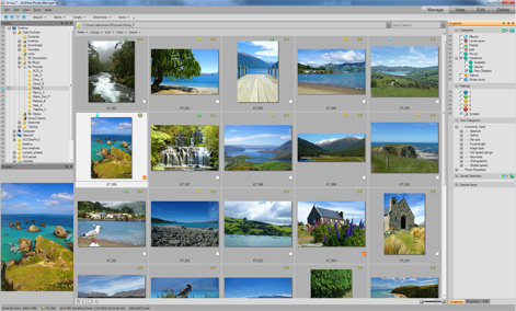  Acdsee Photo Manager  -  2