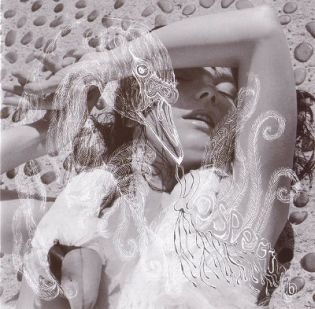 Файл:Bjork Vespertine.jpg