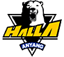 Файл:Anyang halla logo.png