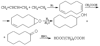 Файл:Syntsebac.PNG