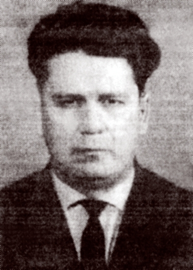 Павлович волков