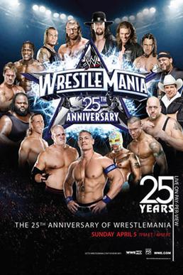 Файл:Wrestlemania 25.jpg